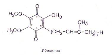 Убихинон Инструкция По Применению Цена