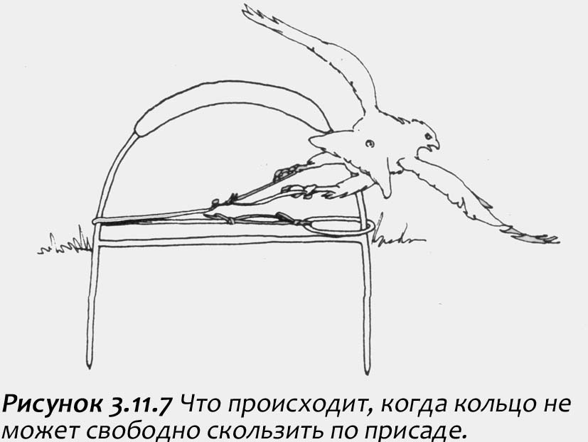 Опутенки для совы своими руками Опутенки для совы своими руками