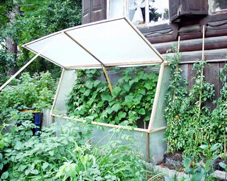Как сделать парник по огурцы