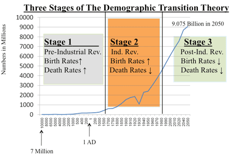 Demographic transition theory essay