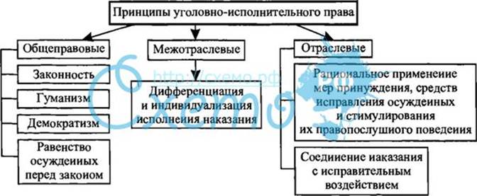 Принцип индивидуализаций в уголовно исполнительном праве Закон РФ от г III. Последствия реабилитации