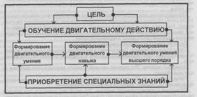 Выкройка рукава для платья/блузки от ШКОЛЫ ШИТЬЯ Выкройка расклешенной юбки от Анастасии Корфиати