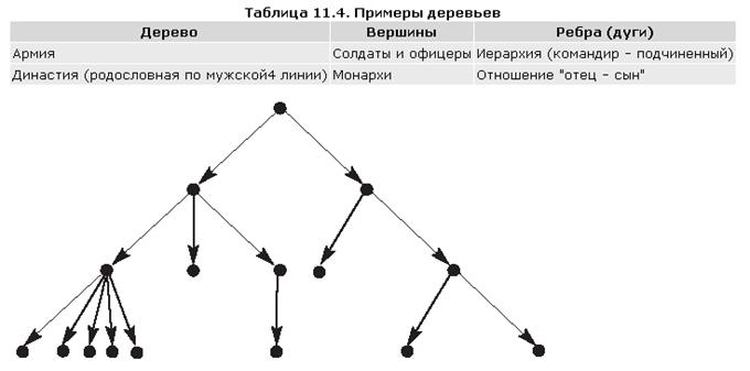 Деревья И Их Фото