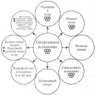какие виды спорта базируются на навыках плавания. Смотреть фото какие виды спорта базируются на навыках плавания. Смотреть картинку какие виды спорта базируются на навыках плавания. Картинка про какие виды спорта базируются на навыках плавания. Фото какие виды спорта базируются на навыках плавания