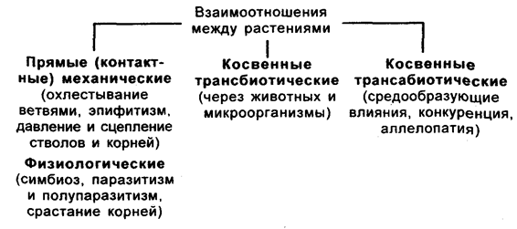 классификация форм взаимоотношений между растениями по в н сукачеву