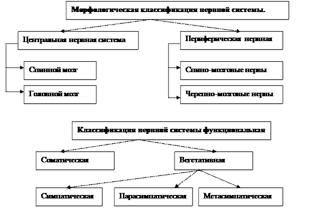 выберите все что характеризует диафрагму. Смотреть фото выберите все что характеризует диафрагму. Смотреть картинку выберите все что характеризует диафрагму. Картинка про выберите все что характеризует диафрагму. Фото выберите все что характеризует диафрагму