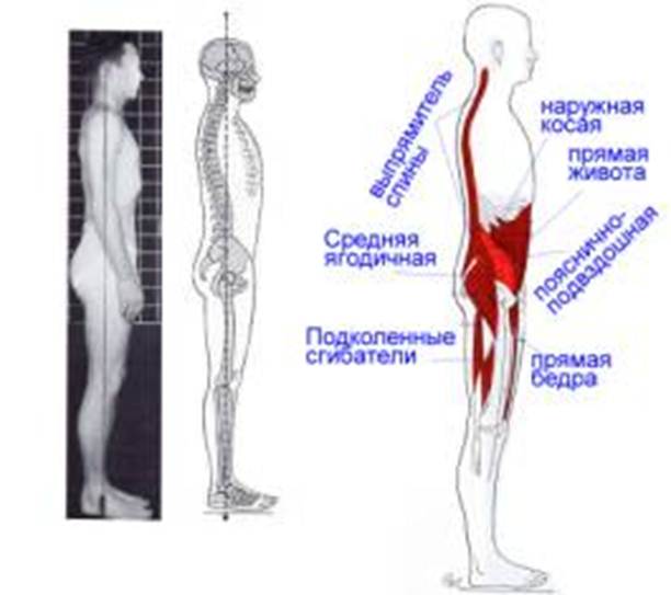 Тянет правое бедро сзади. Немеет правое бедро с внешней стороны выше колена при климаксе - фото. Стретчинг. Комплекс упражнений. Задняя Поверхность Бедра Фото — Фото Картинки