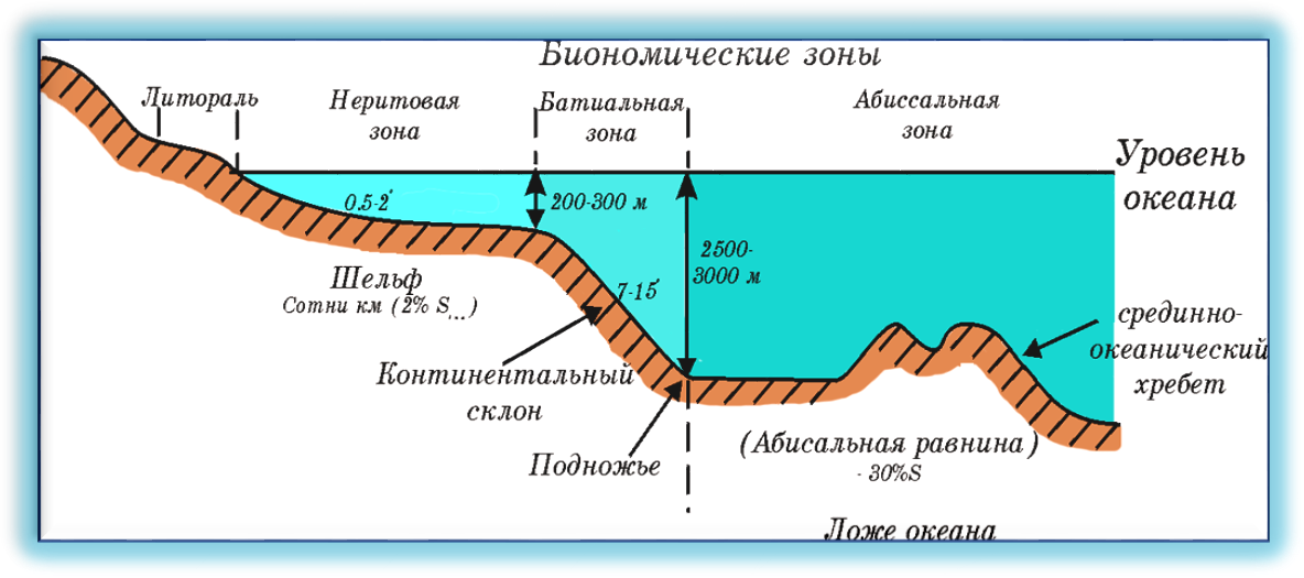 Реферат: Геологическая работа моря