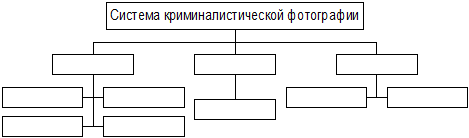 Дактилоскопическая карта