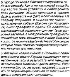 Реферат Дети Маугли Реферат Дети Маугли