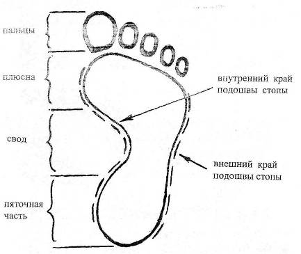 Части Ноги Фото