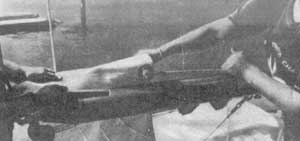 image056 Брандерщит на яхте что это