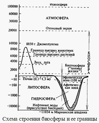 верхняя граница биосферы проходящая в атмосфере обусловлена таким фактором как. Смотреть фото верхняя граница биосферы проходящая в атмосфере обусловлена таким фактором как. Смотреть картинку верхняя граница биосферы проходящая в атмосфере обусловлена таким фактором как. Картинка про верхняя граница биосферы проходящая в атмосфере обусловлена таким фактором как. Фото верхняя граница биосферы проходящая в атмосфере обусловлена таким фактором как