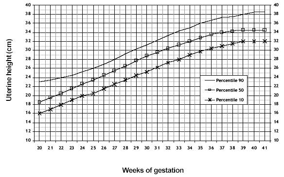 Гравидограмма
