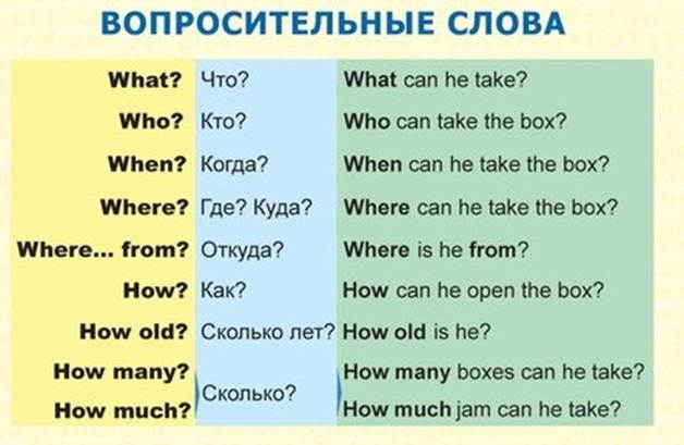 6 класс. английский язык. типы вопросов - wh-слова в английском языке курсотека.
