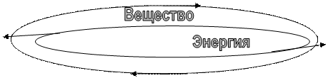 Иерархичность биосистемы обеспечивается чем. Смотреть фото Иерархичность биосистемы обеспечивается чем. Смотреть картинку Иерархичность биосистемы обеспечивается чем. Картинка про Иерархичность биосистемы обеспечивается чем. Фото Иерархичность биосистемы обеспечивается чем