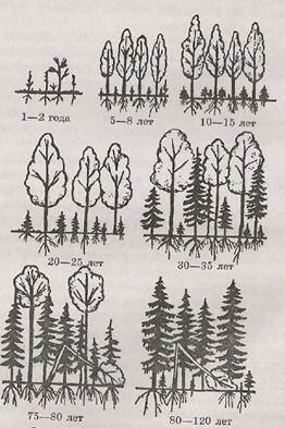 image012 что называют общим дыханием сообщества