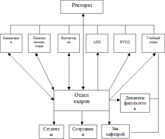 того, структура и задачи высшего учебного заведения термобелья Различают