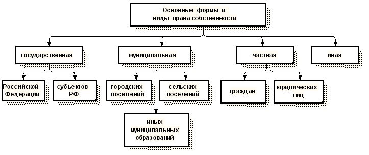 Вид аренды связанный с имуществом Вид аренды связанный с имуществом