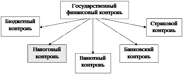 Государственный и муниципальный контроль схема5 Государственный и муниципальный контроль схема5