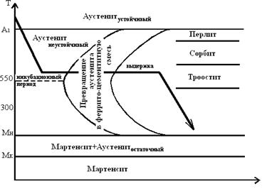термическая обработка мяса от паразитов термическая обработка мяса от паразитов