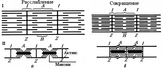 Как вязать бейки горловины - Вязание спицами - Страна Мам Дизайны машинной вышивки