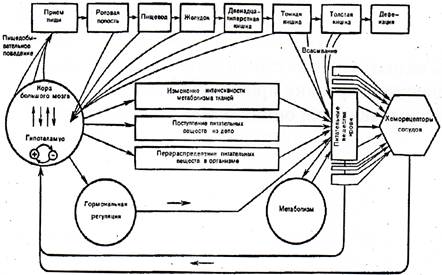 pdf Evolution For