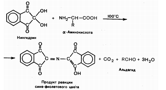 Глютаминовая Кислота Инструкция - bookuniversity