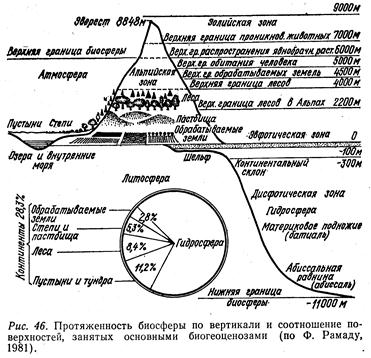 Все оболочки земли связаны между собой Все оболочки земли связаны между собой