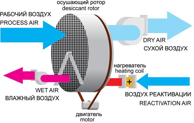 Открытка бабушке от внуков с днем рождения 6