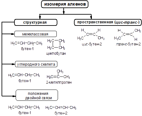 Скелет алкена