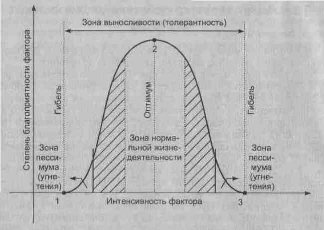 Интенсивность фактора