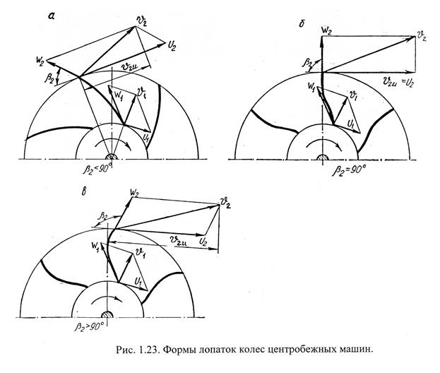 загнутые назад лопатки