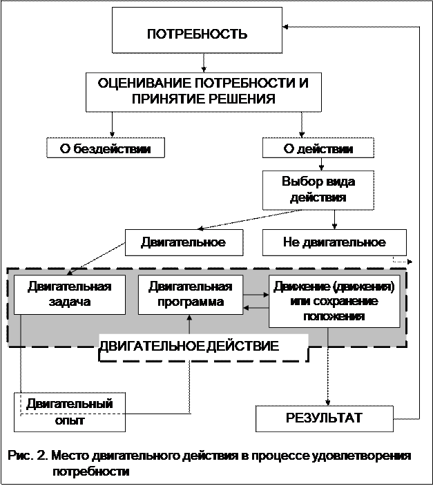 Группы двигательных задач. Группы двигательных задач