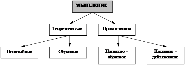 Теоретическое мышление. Характеристики понятийного мышления. Понятийное мышление. Выгодский панетийное мышление. Виды мышления понятийное.