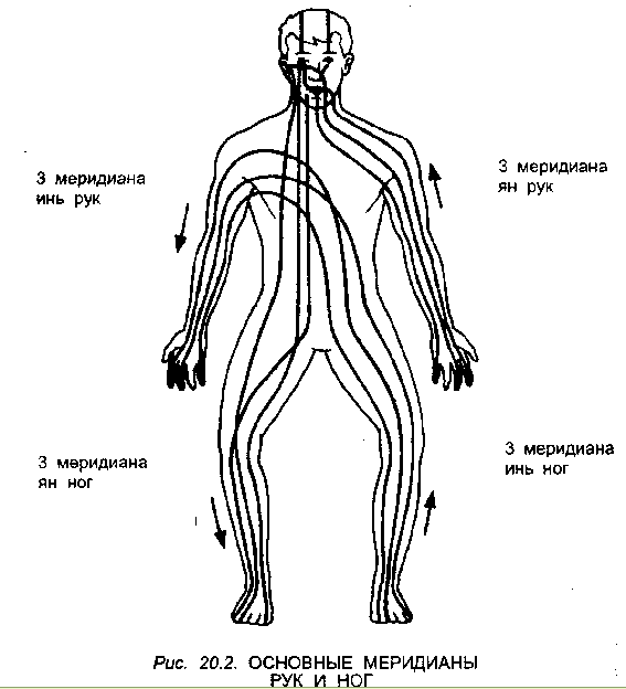 Энергоканалы человека схема