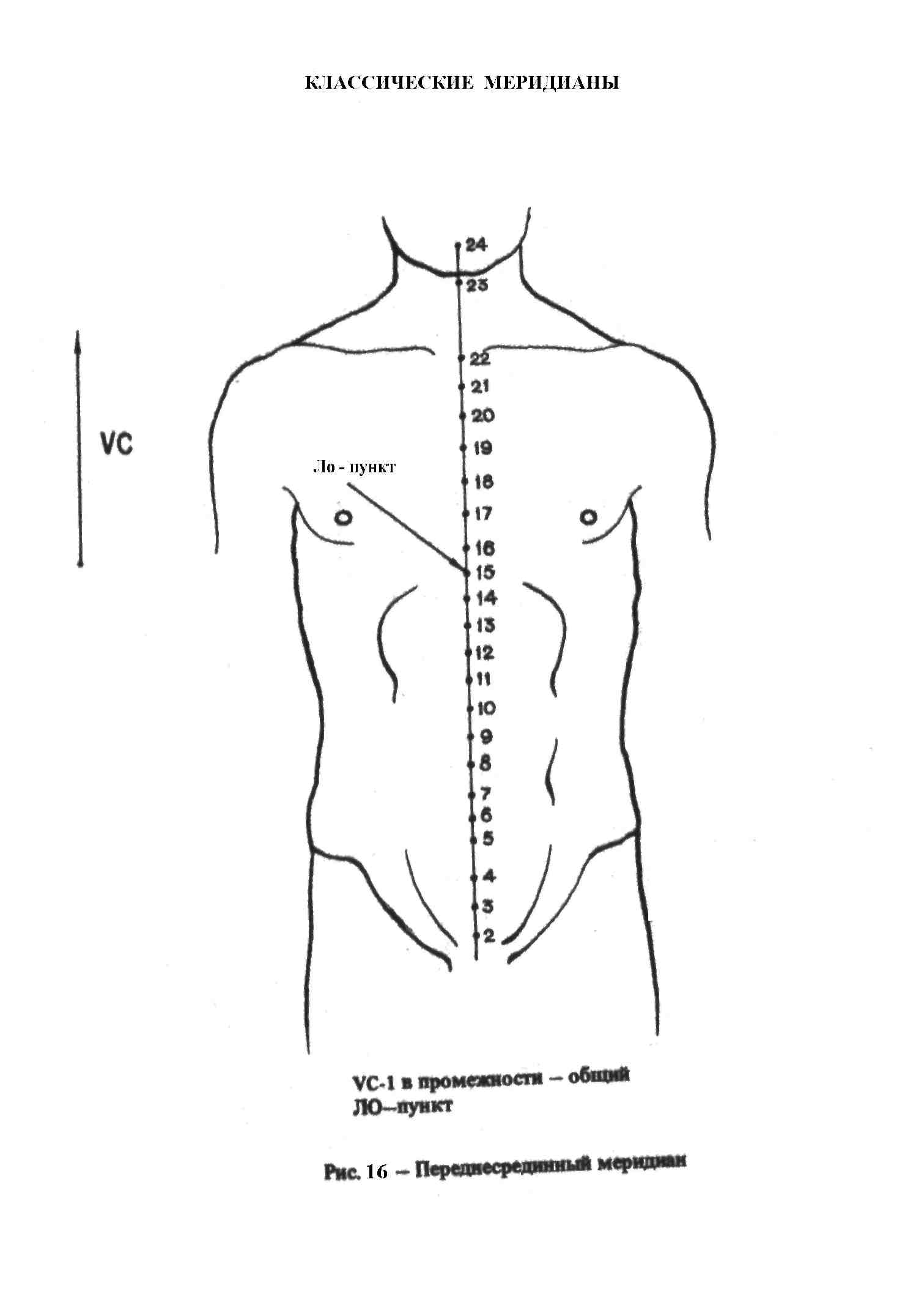 Рис 15 рис 15 схема. Переднесрединный Меридиан точки. Передний серединный Меридиан. Заднесрединный Меридиан в ТКМ. Переднесрединный Меридиан схема.