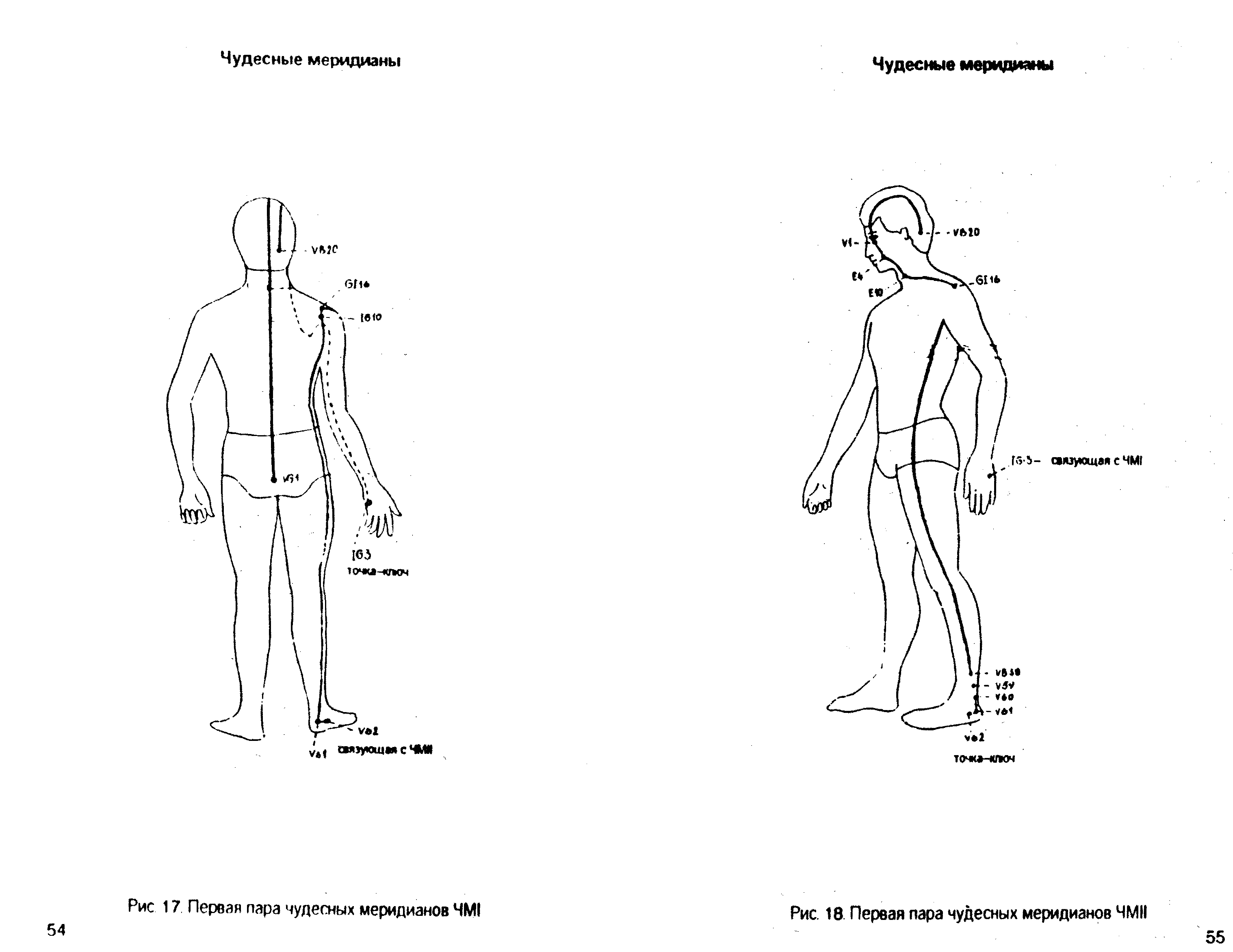 Меридианы человека схема