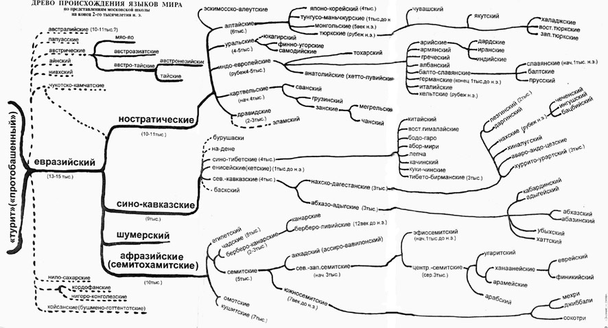 Древо языков мира схема