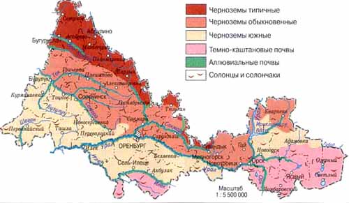 какая почва в оренбургской. почвенная карта оренбурга. какая почва в оренбургской. оренбург почвы. оренбург растительность карта.