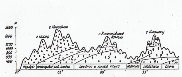 Таблица урал и горы южной сибири