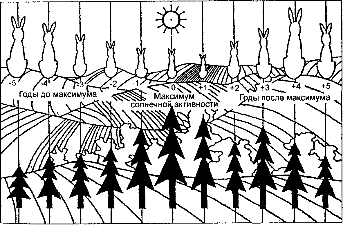 Ритмичность рисунок по биологии