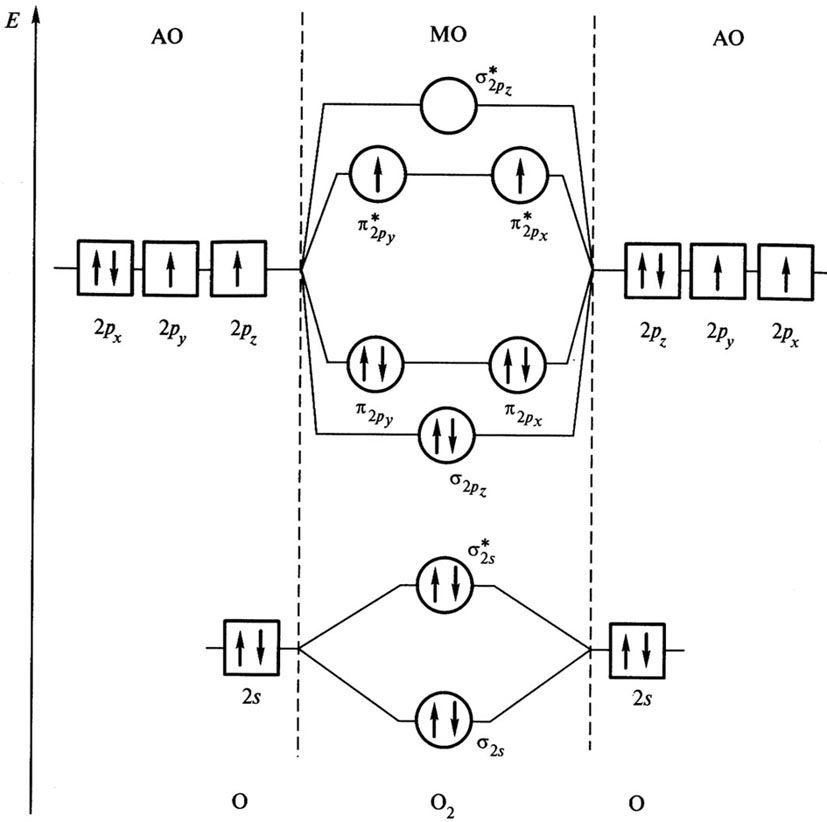 Составьте электронную формулу и схему распределения электронов по орбиталям атома кислорода