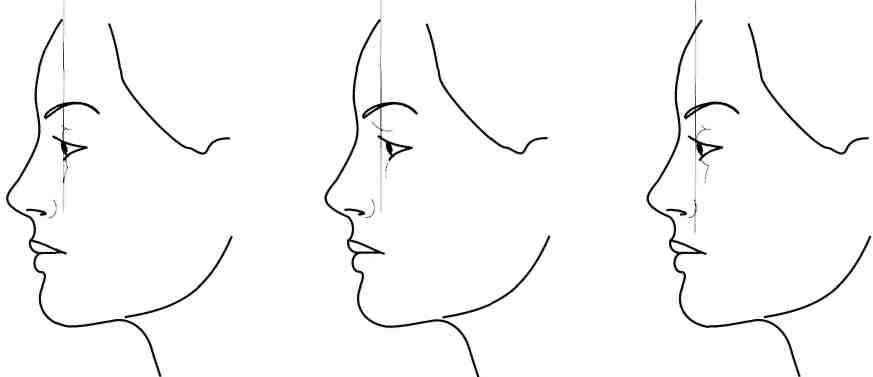 Пропорции лица человека в профиль. Формы носа. Типы формы головы. Как определить профиль человека. Пропорции портрета человека профиль.
