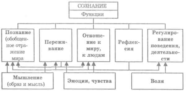 Схема характеристики сознания