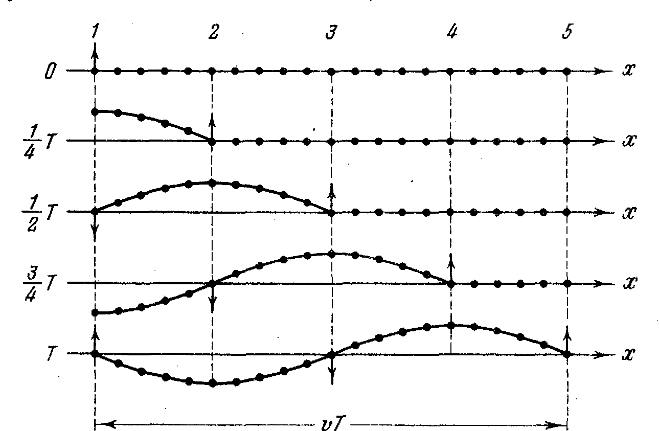 Стоячая волна формирование. Виды волн упругие продольные. Волны в упругой среде. Типы упругих волн. Упругие продольные волны.