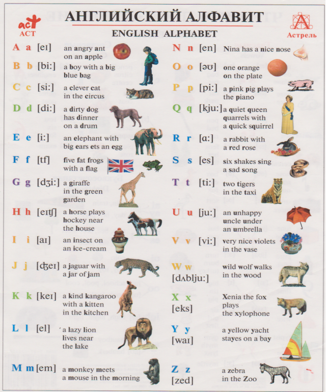 Прочитайте слова dog. Английские слова. Животные на английском с произношением по русски. Слова животных на английском. Английские слова по алфавиту.
