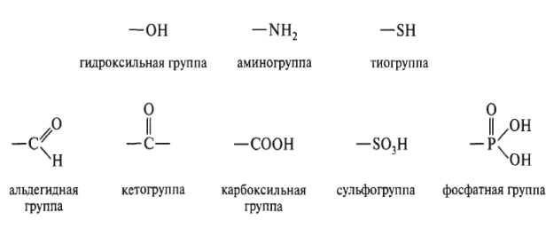 Карбоксильная группа и гидроксильная группа. Гидроксильная группа формула. Гидроксильная функциональная группа. Функциональные группы гидроксильная группа и.