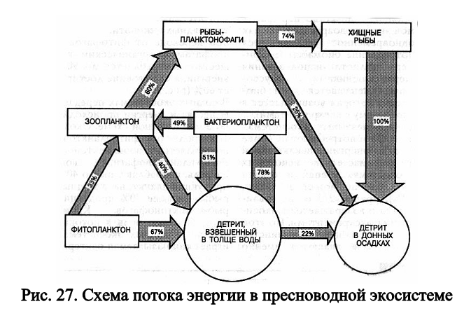 Схема энергия в экосистеме. Схема потока энергии Лесной экосистемы. Универсальная модель потока энергии в экосистемах. Основные потоки энергии в аграрной экосистеме. Схемы потоков энергии в сообществе.