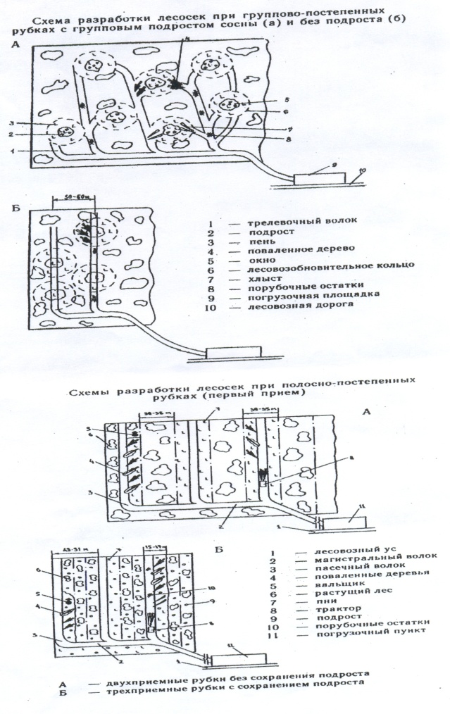 схема трелевка леса. схема разработки лесосек сплошная рубка. схема разработки лесосеки условные обозначения. порядок осмотра лесосеки. порядок осмотра лесосеки.
